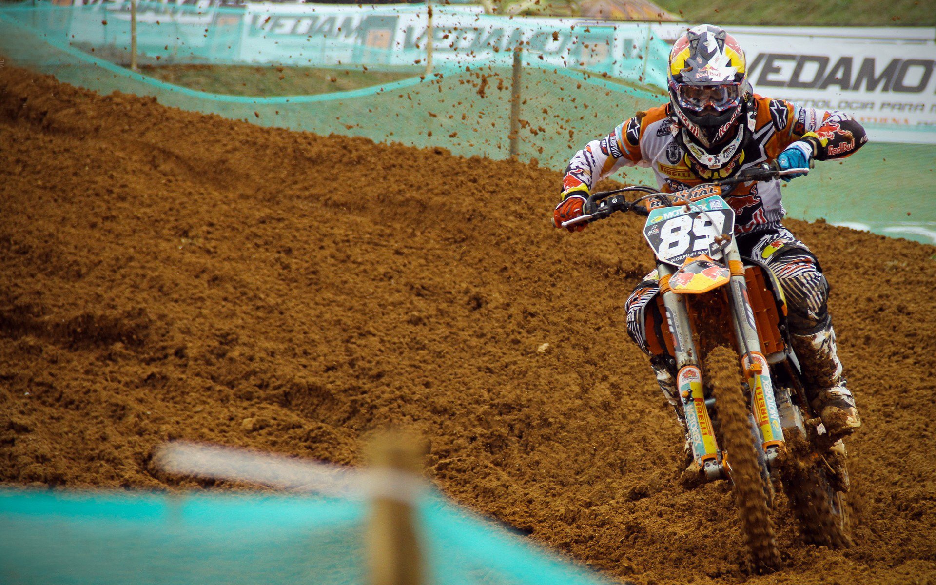 世界青少年武道锦标赛再掀运动狂潮，世界武道大赛是什么