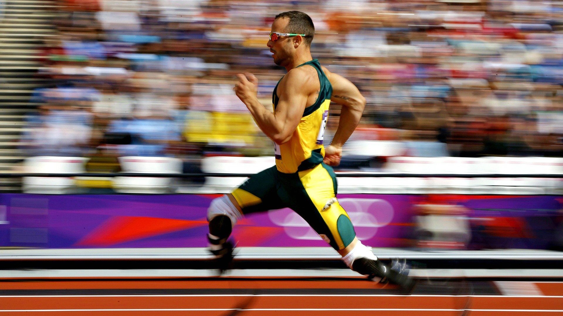 南非蝶泳选手节奏把握精准，南非女子蛙泳冠军